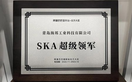  In November 2022, Qingdao Hibong Industrial Technology Co., Ltd became the SKA (Super Key Account) on Alibaba. 